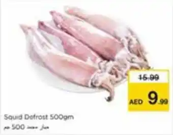Nesto Squid Defrost offer