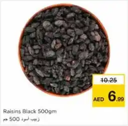 Nesto Raisins Black offer