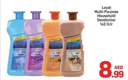 Day To Day Loyal Multi Purpose Household Deodorizer offer