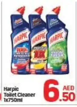 Day To Day HARPIC Toilet / Drain Cleaner offer
