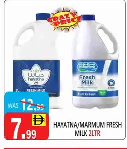 United Hypermarket MARMUM Fresh Milk offer