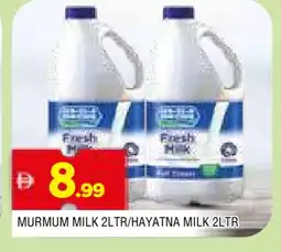 Al Madina HAYATNA Fresh Milk offer