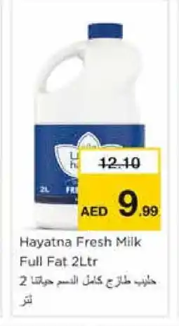 Nesto HAYATNA Fresh Milk offer