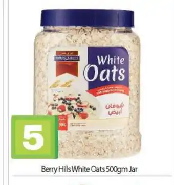 Bigmart BERRY HILLS Oats offer