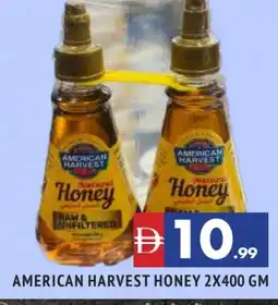 Al Madina AMERICAN HARVEST Honey offer