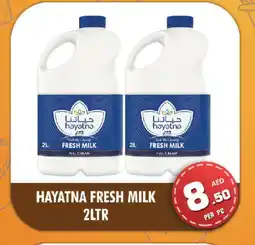 Night to Night Hypermarket HAYATNA Fresh Milk offer
