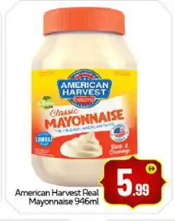 Bigmart AMERICAN HARVEST Mayonnaise offer
