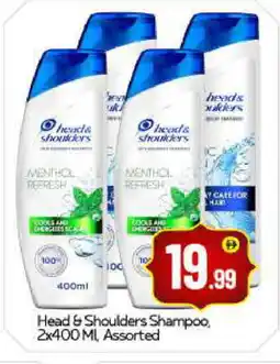 Bigmart HEAD & SHOULDERS Shampoo / Conditioner offer