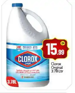 Bigmart CLOROX Bleach offer