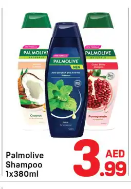 Day To Day PALMOLIVE Shampoo / Conditioner offer