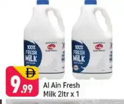 Shaklan AL AIN Fresh Milk offer