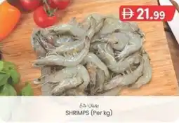 KM Trading Shrimps offer