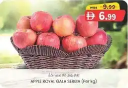 KM Trading Apple royal gala serbia offer