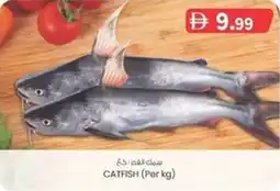 KM Trading Catfish offer