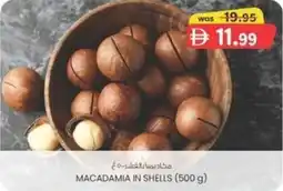 KM Trading Macadamia in shells offer