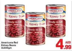 Day To Day Americana Red Kidney Beans offer