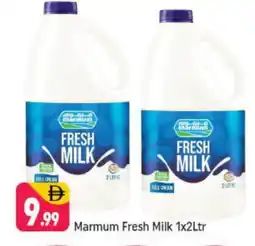 Shaklan MARMUM Fresh Milk offer