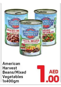 Day To Day AMERICAN HARVEST Baked Beans offer