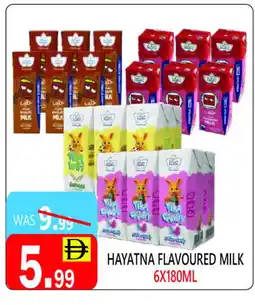 United Hypermarket HAYATNA Flavoured Milk offer
