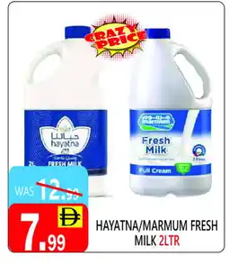 United Hypermarket MARMUM Full Cream Milk offer