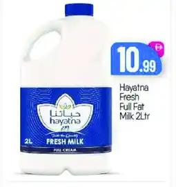 Bigmart HAYATNA Full Cream Milk offer