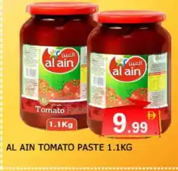Al Madina AL AIN Tomato Paste offer