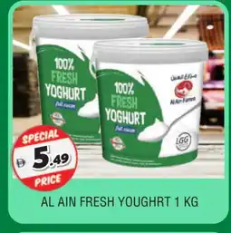 Al Madina AL AIN Yoghurt offer