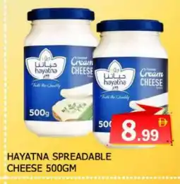 Al Madina HAYATNA Cream Cheese offer