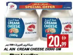 Rawabi Market AL AIN Cream Cheese offer