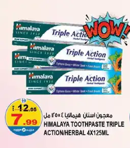 Hashim Hypermarket HIMALAYA Toothpaste offer