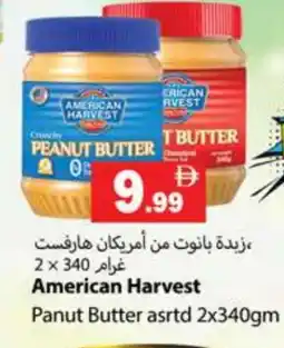 Gulf Hypermarket AMERICAN HARVEST Peanut Butter offer