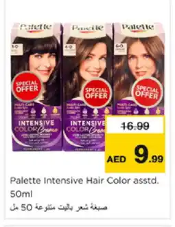Nesto PALETTE Hair Colour offer