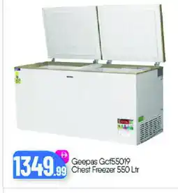 Bigmart GEEPAS Freezer offer