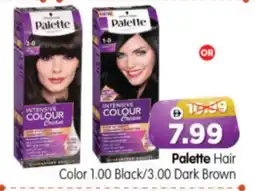 Al Madina Hypermarket PALETTE Hair Colour offer