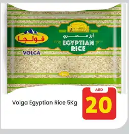 Mark & Save VOLGA Egyptian / Calrose Rice offer
