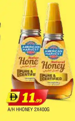 Al Madina AMERICAN HARVEST Honey offer