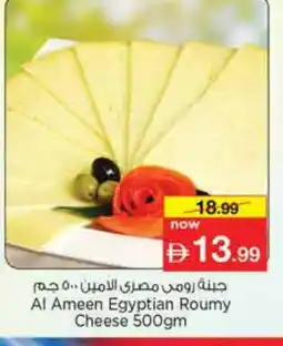 Nesto AL AMEEN Slice Cheese offer