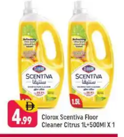 Shaklan CLOROX General Cleaner offer