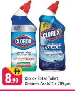 Shaklan CLOROX Toilet / Drain Cleaner offer
