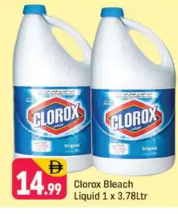 Shaklan CLOROX Bleach offer