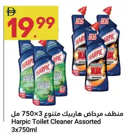 Grand Emirates Market HARPIC Toilet / Drain Cleaner offer