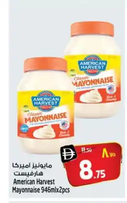 Safari Hypermarket AMERICAN GARDEN Mayonnaise offer