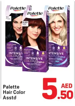 Day To Day PALETTE Hair Colour offer