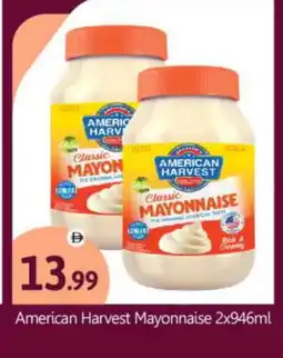 Bigmart AMERICAN GARDEN Mayonnaise offer