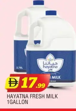 Al Madina HAYATNA Fresh Milk offer
