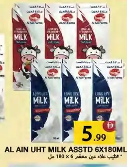 Rawabi Market AL AIN Long Life / UHT Milk offer