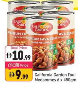 Shaklan CALIFORNIA GARDEN Fava Beans offer
