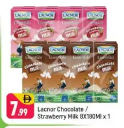 Shaklan LACNOR Flavoured Milk offer