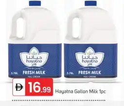 Talal Market HAYATNA Full Cream Milk offer