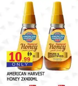 Al Madina AMERICAN HARVEST Honey offer